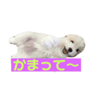 まるっくすのずんだ（個別スタンプ：2）