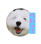 まるっくすのずんだ（個別スタンプ：4）