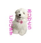 まるっくすのずんだ（個別スタンプ：5）