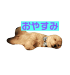 まるっくすのずんだ（個別スタンプ：8）