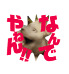 まるっくすのずんだ（個別スタンプ：13）