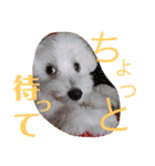 まるっくすのずんだ（個別スタンプ：14）