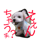 まるっくすのずんだ（個別スタンプ：15）