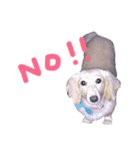 我が家の御犬様モカちゃん（個別スタンプ：13）
