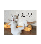 ちろる♡てん（個別スタンプ：24）