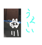 お餅キャット（個別スタンプ：4）