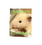 クマ太郎スタンプ日常会話修正版0607（個別スタンプ：29）