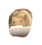 クマ太郎スタンプ日常会話修正版0607（個別スタンプ：34）
