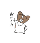 パピヨンのチロル（個別スタンプ：10）