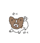 パピヨンのチロル（個別スタンプ：13）