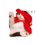 じろ猫（個別スタンプ：5）