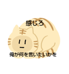 バディちゃんとにてるヤツら（個別スタンプ：13）
