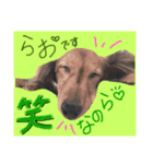 rao❤︎（個別スタンプ：7）