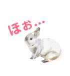 結城家のどうぶつたち（個別スタンプ：3）