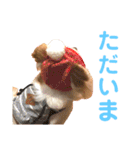 結城家のどうぶつたち（個別スタンプ：17）