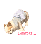 結城家のどうぶつたち（個別スタンプ：20）