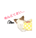 結城家のどうぶつたち（個別スタンプ：21）