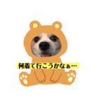 うちの健ちゃん（個別スタンプ：8）