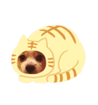 うちの健ちゃん（個別スタンプ：12）