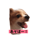 うちの健ちゃん（個別スタンプ：20）