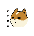 ブブ猫（個別スタンプ：3）