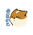 ブブ猫（個別スタンプ：6）