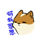 ブブ猫（個別スタンプ：7）