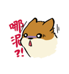 ブブ猫（個別スタンプ：9）