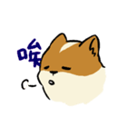 ブブ猫（個別スタンプ：10）