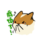 ブブ猫（個別スタンプ：12）