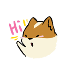 ブブ猫（個別スタンプ：14）