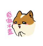 ブブ猫（個別スタンプ：16）