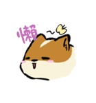 ブブ猫（個別スタンプ：19）