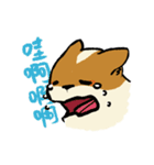 ブブ猫（個別スタンプ：20）
