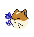 ブブ猫（個別スタンプ：23）