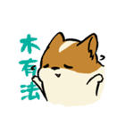 ブブ猫（個別スタンプ：24）