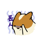 ブブ猫（個別スタンプ：25）