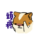 ブブ猫（個別スタンプ：29）