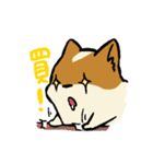 ブブ猫（個別スタンプ：32）