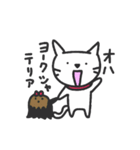 ねこ太くん（個別スタンプ：2）