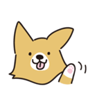 コーギーの40面相スタンプ（個別スタンプ：2）
