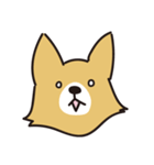コーギーの40面相スタンプ（個別スタンプ：4）