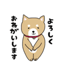 メリノさんとやさしい仲間たち（個別スタンプ：17）