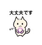 敬語にゃんこ。（個別スタンプ：12）