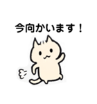 敬語にゃんこ。（個別スタンプ：25）
