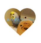 幸助＆幸ちゃん  シリーズ（個別スタンプ：2）