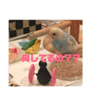 幸助＆幸ちゃん  シリーズ（個別スタンプ：7）