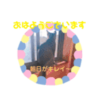 猫まみれニャンニャン（個別スタンプ：1）