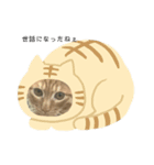 ニャンとも謝りたい時 お願いしたい時（個別スタンプ：3）