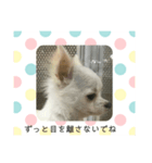 ニャンとも謝りたい時 お願いしたい時（個別スタンプ：7）